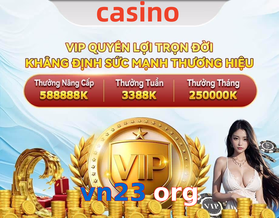 vn23 org