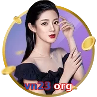 vn23 org