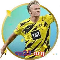 vn23 org