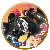 vn23 org