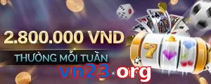 vn23 org