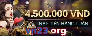 vn23 org