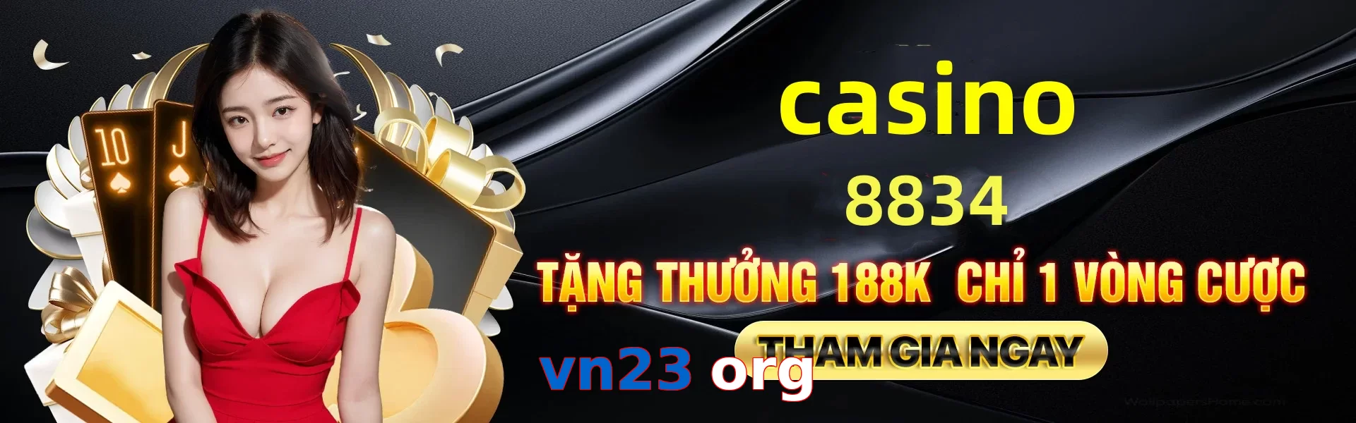 vn23 org