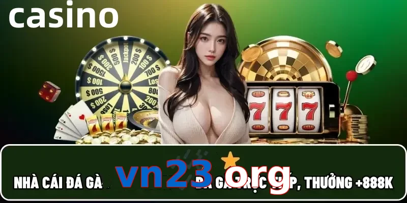 vn23 org