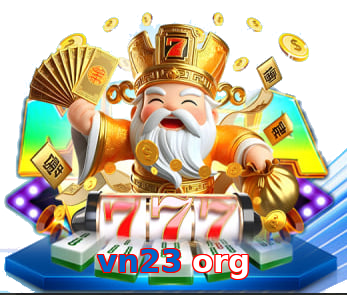 vn23 org