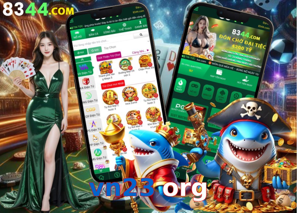 vn23 org