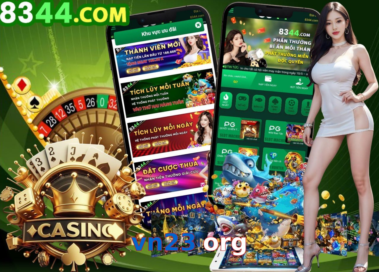 vn23 org