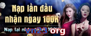 vn23 org