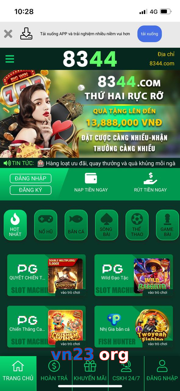 vn23 org