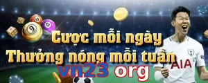 vn23 org