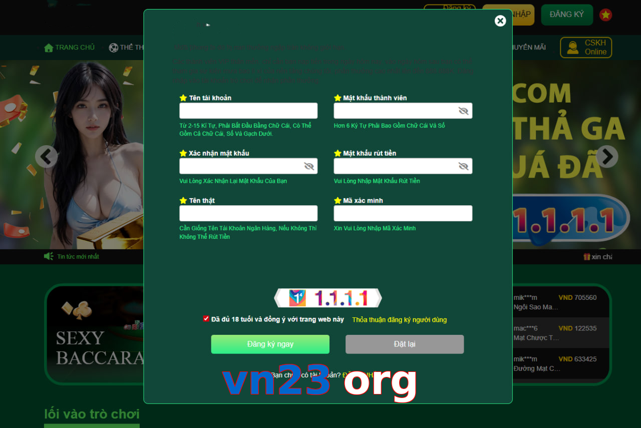 vn23 org